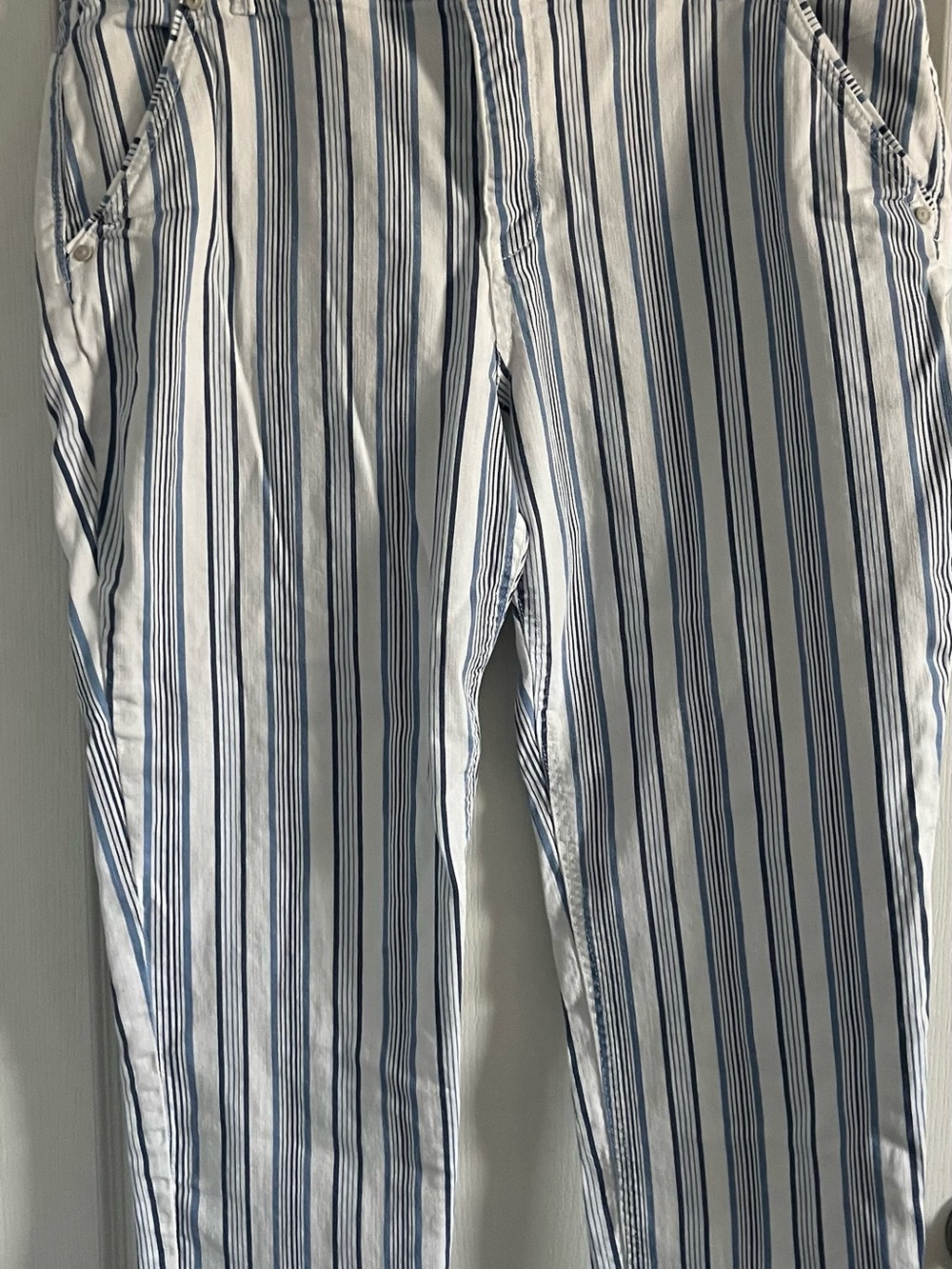 Democracy Women’s Navy and Light Blue Striped Pants Size 16